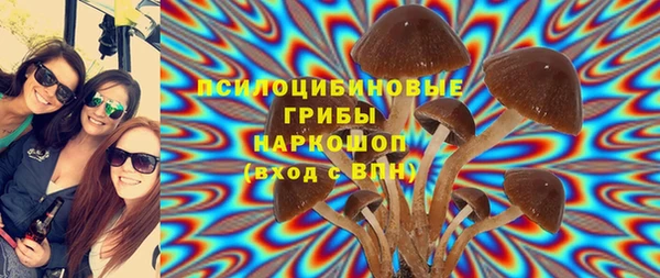 СК Арсеньев