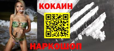 бошки Кингисепп