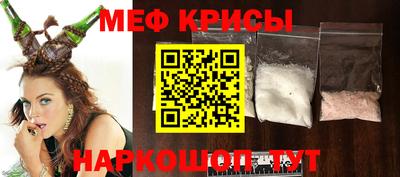 бошки Кингисепп